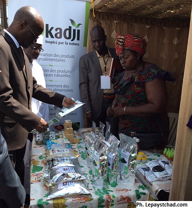 N’Djaména accueille le festival Agrobusiness