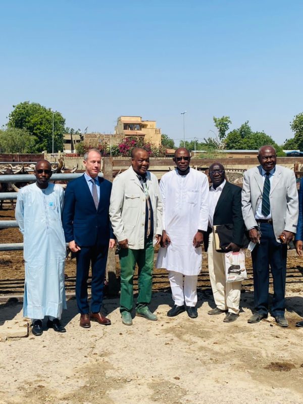 Bolloré transport & logistics Tchad réalise la première opération d’exportation de viande en Afrique centrale