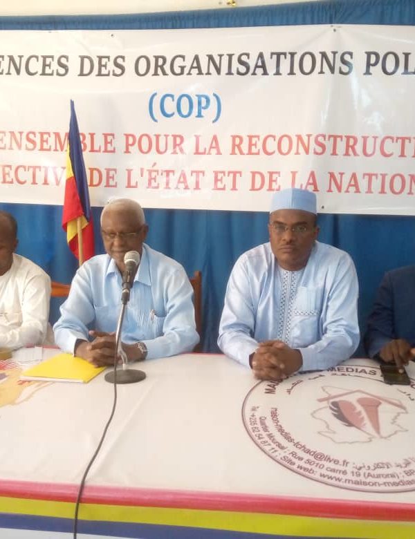 « Il faut sortir le Tchad des atermoiements et des  tâtonnements »: Salibou Garba