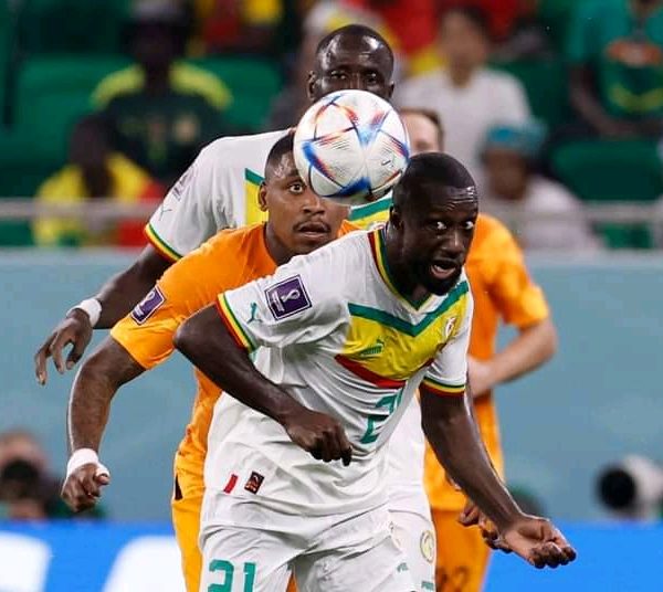 Coupe du monde : le Sénégal s’incline face aux Pays-Bas