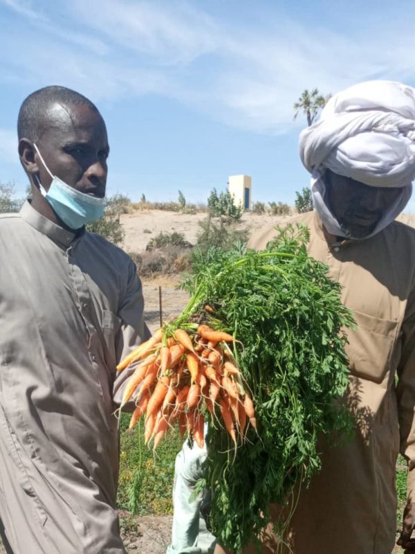 A Baloul, les bénéficiaires du projet Recosoc vivent en grande partie de la culture maraîchère