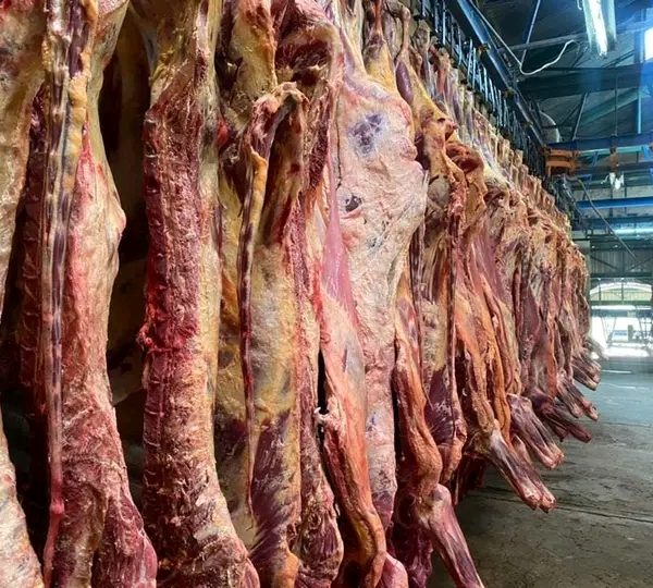 Le Président de transition ratifie la dissolution de l’abattoir de Farcha