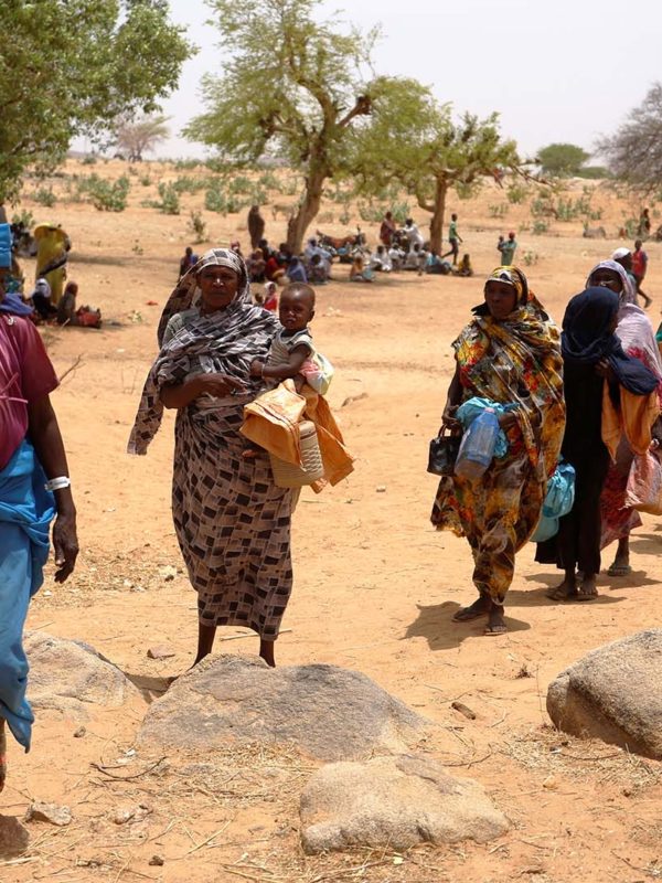 « Jusqu’à 3,34 millions de personnes supplémentaires au Tchad pourraient basculer dans la pauvreté d’ici 2050, du fait des chocs liés au changement climatique », rapport Ccdr Banque mondiale