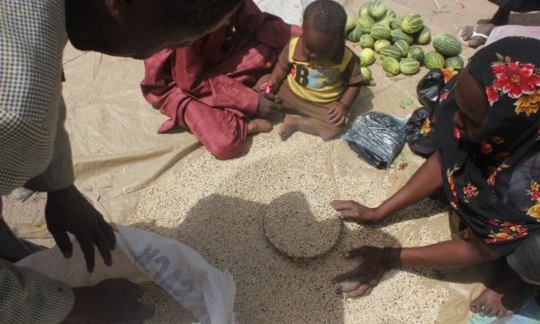 Tchad : le président de transition décrète « l’urgence alimentaire et nutritionnelle »