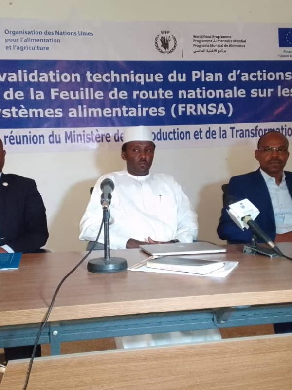 Tchad : Le plan d’actions 2024-2028 de la Feuille de route nationale sur les systèmes alimentaires en cours de validation