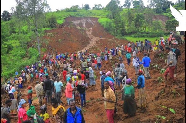 Éthiopie : Au moins 146 morts dans un glissement de terrain