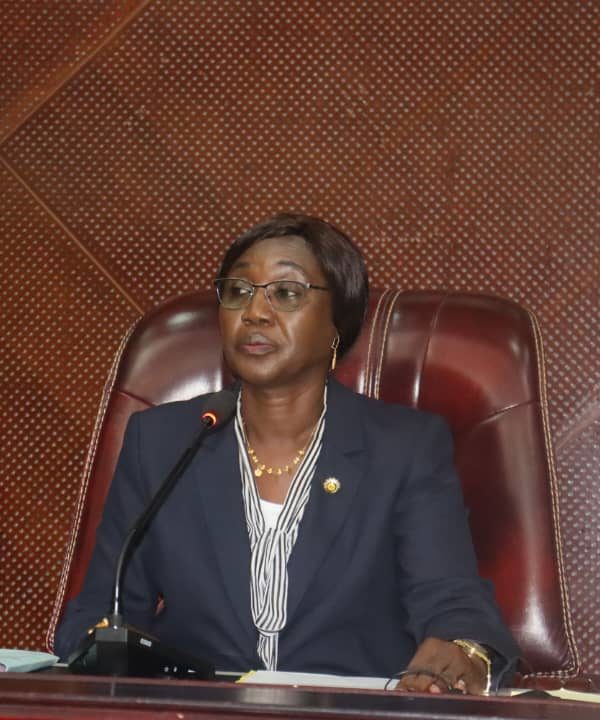 Tchad : le Cnt examine loi Organique portant composition du Parlement