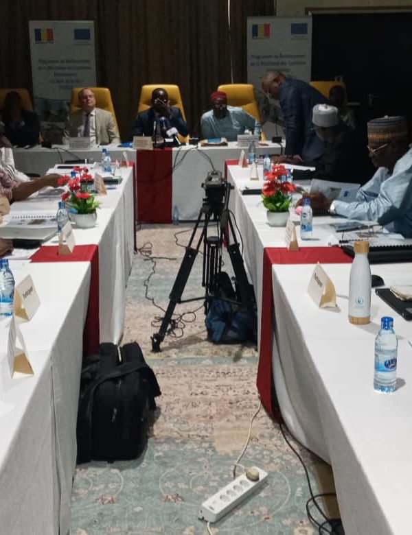 Tchad : ouverture des 1ères assises du comité de pilotage du P2rsa