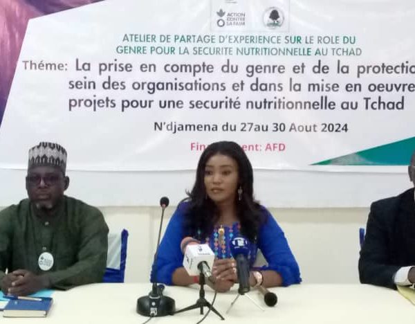 Tchad : la malnutrition aiguë globale est passée de 8,6% en 2022 à 11% en 2023