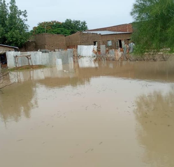 N’Djamena, entre inondations et fonctionnalité : une ville nouvelle comme panacée ?