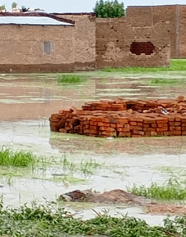 Plusieurs quartiers de N’Djamena sont sous l’eau