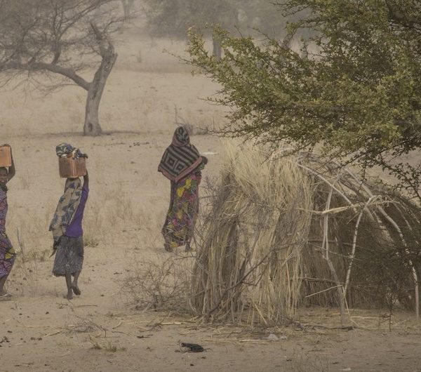 Province du lac: Dr François Batalingaya condamne l’enlèvement de plusieurs  humanitaires