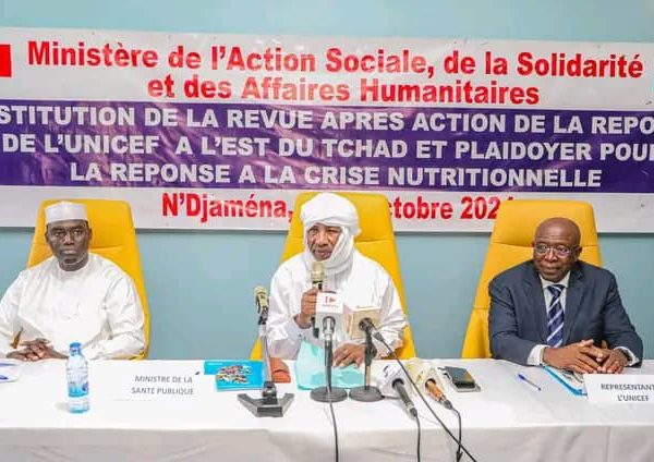 Réponse à la crise nutritionnelle à l’Est du Tchad : l’Unicef restitue sa revue après action