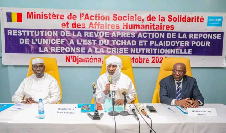 Réponse à la crise nutritionnelle à l’Est du Tchad : l’Unicef restitue sa revue après action 1