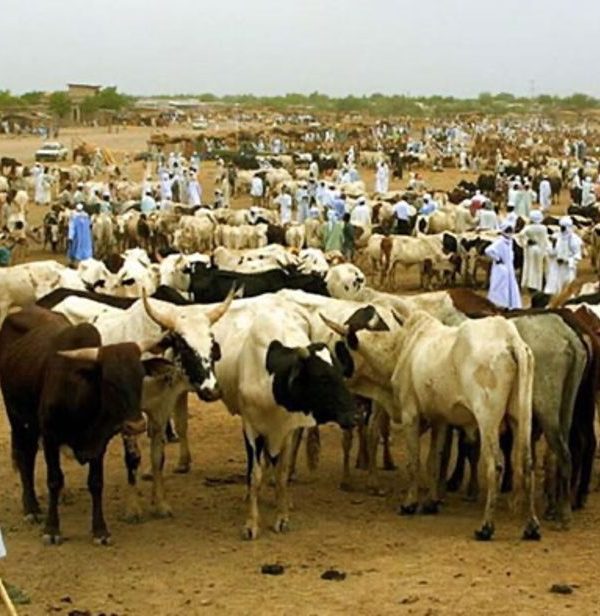 Nouakchott+10 : le Sahel et l’Afrique de l’ouest s’engagent à accélérer le développement des filières élevage et la sécurisation des systèmes pastoraux