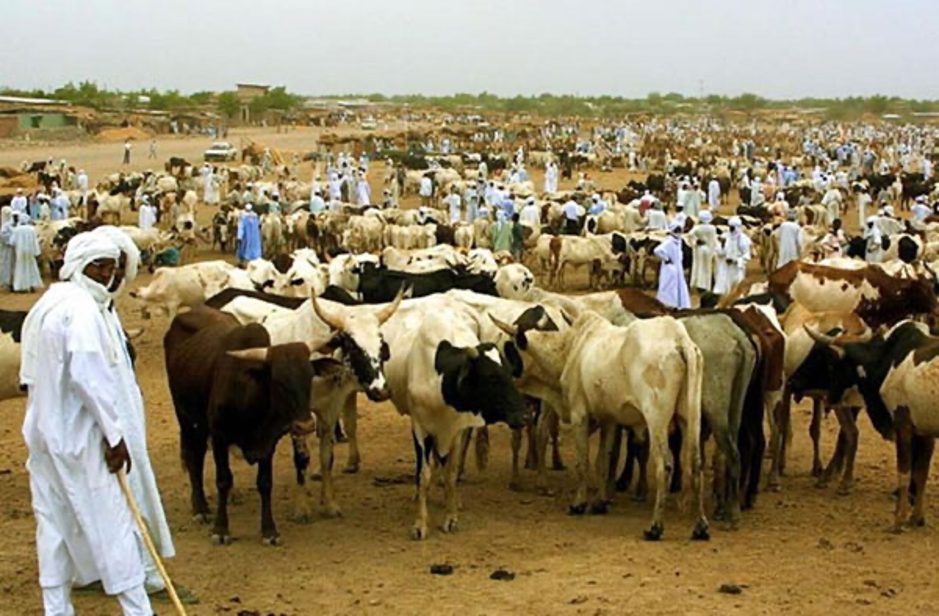 La Mauritanie accueille le Forum Nouakchott+10 : Un nouveau cap pour l’élevage et le pastoralisme au Sahel et en Afrique de l’Ouest 1