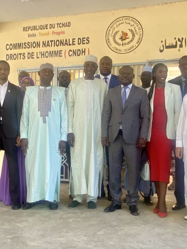 Tchad : la Cndh lance officiellement son site web