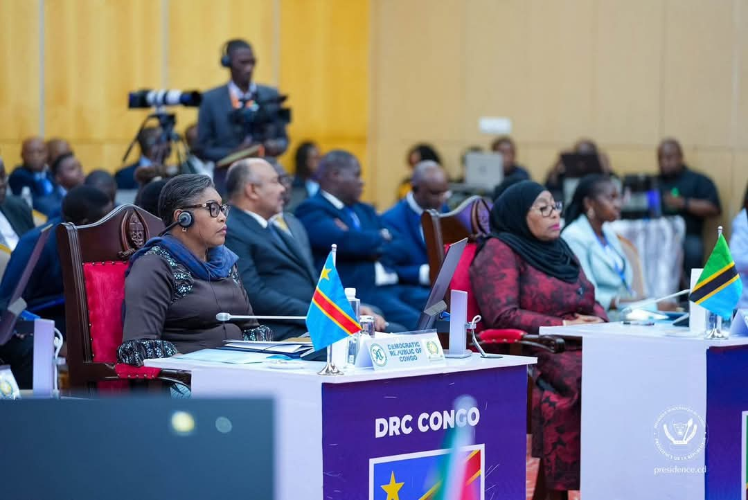 Tanzanie: un sommet dédié à la crise  à l’Est de la RDC 1