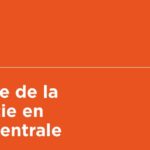 Montée des eaux du Chari et Logone : Tob-Ro N'Dilbé, Coordonnateur de l’OVIT propose des mesures d’urgence 3